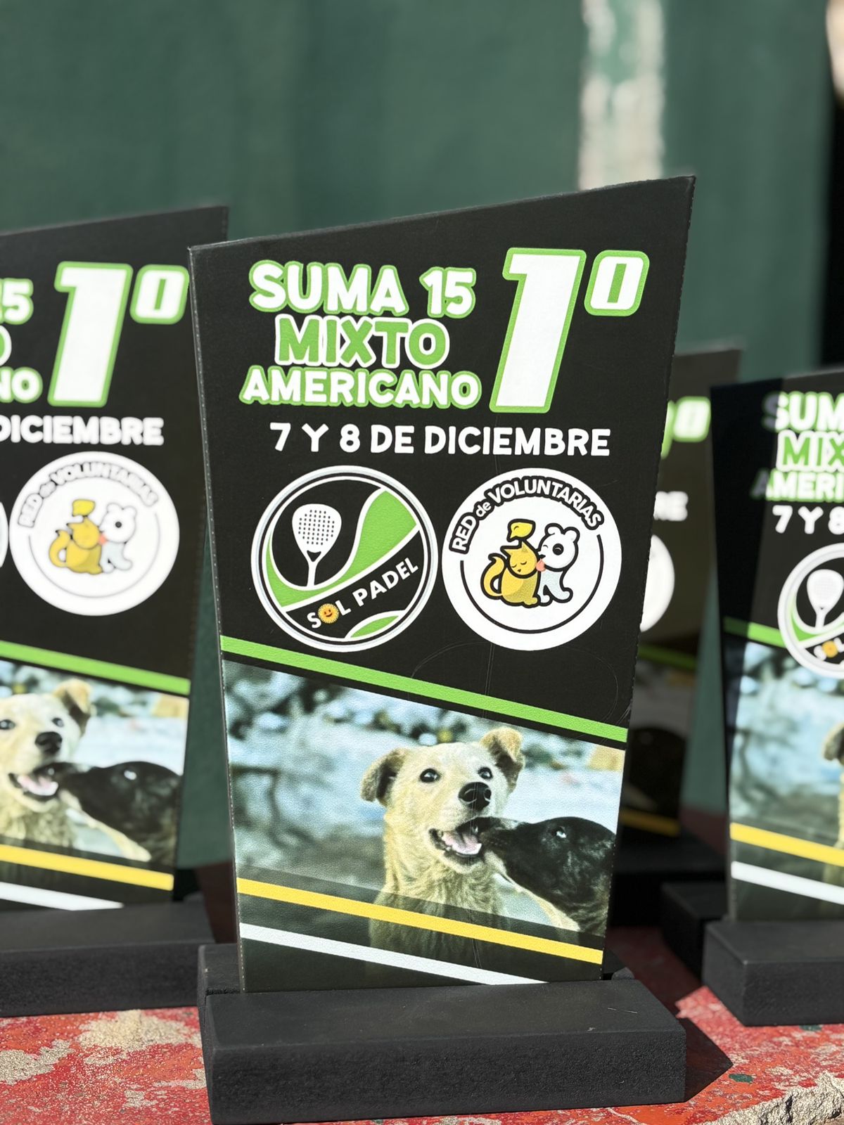 TORNEOS DE PADEL — foto 6